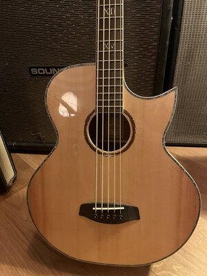 Ortega KTSM-5 Ken Taylor Bass