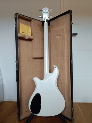 1000035215.jpg