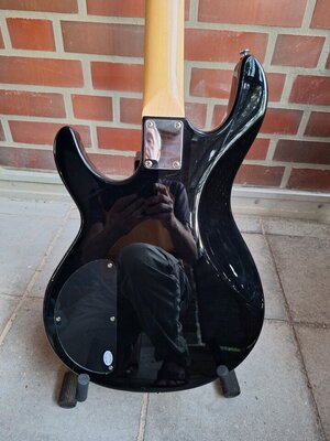 VINTAGE Reissued V96 (10).jpg