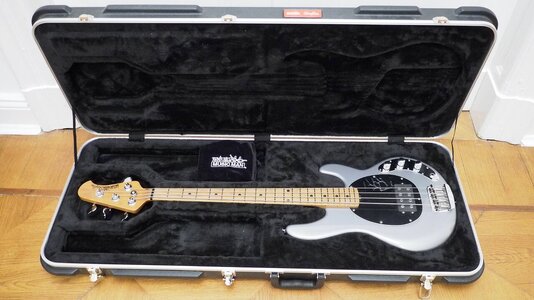 EBMM Stingray SS 8.jpeg
