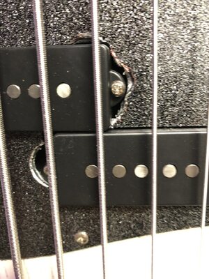 IMG_2287.jpeg