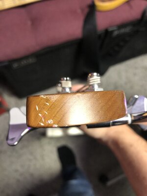 IMG_2293.jpeg