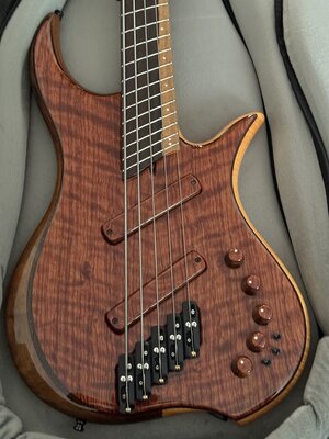 Dingwall Prima Artist 5 - Quilted Bubinga
