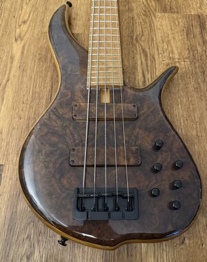 F Bass BN5 Exhibition Grade Walnut Burl Top