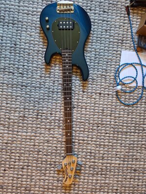 Sterling by Music Man Sterling