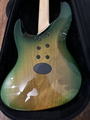 IMG_0531.jpeg IMG_0531.jpeg