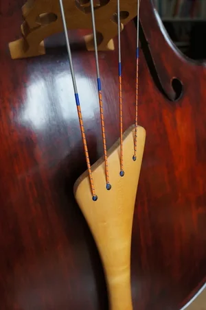 DSC02878.webp DSC02878.webp