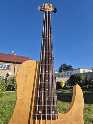 20250920_092406.jpg