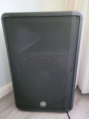 Yamaha DBR15 FRFR Box