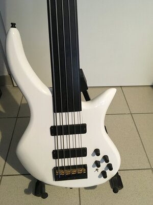 IMG_0354.jpeg