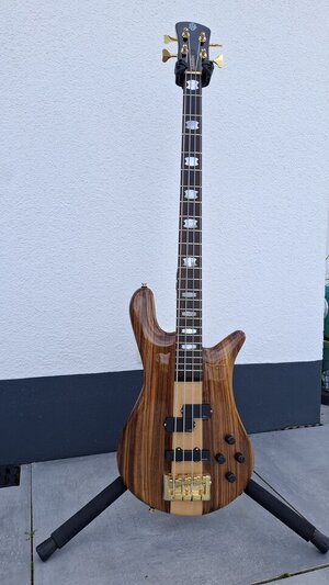 Spector Euro 435 *super selten*