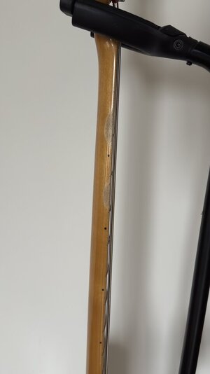 IMG_6718.jpeg