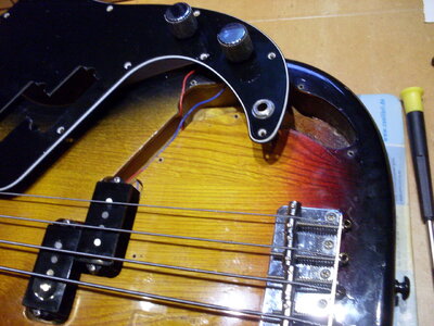 SDC10364.JPG