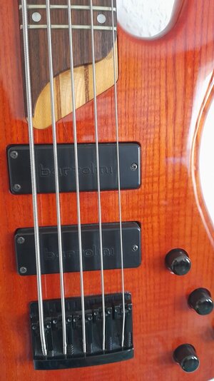 20250928_112453.jpg