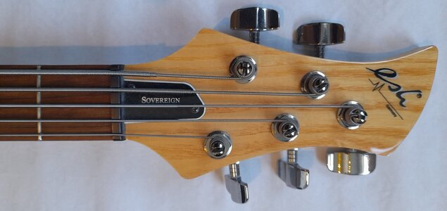 Esh Sovereign Bassgitarre E-Bass Bass sunburst 5-Saiter
