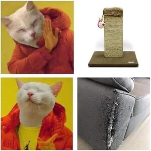 1759065261112.jpeg