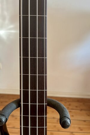 IMG_3820.jpeg
