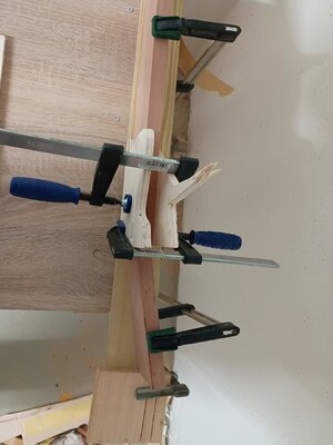 IMG_20251002_230551950.jpg IMG_20251002_230551950.jpg