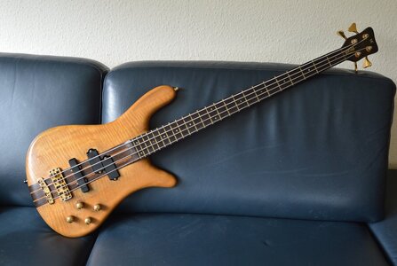 Warwick Streamer Stage 1 , 1988