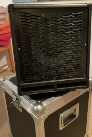 Ashdown / Eden 1x10 Box mit Case