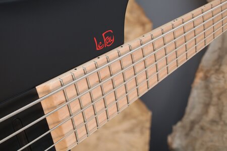 LF-HS5_003.jpg