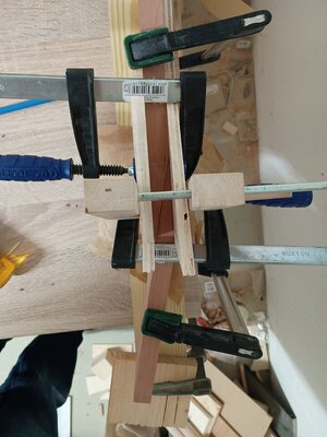 IMG_20251005_184707077.jpg IMG_20251005_184707077.jpg