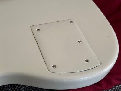 IMG_1164.jpeg
