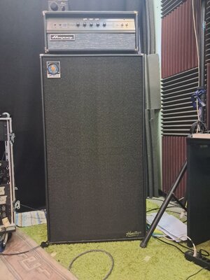 Ampeg Heritage SVT 810E