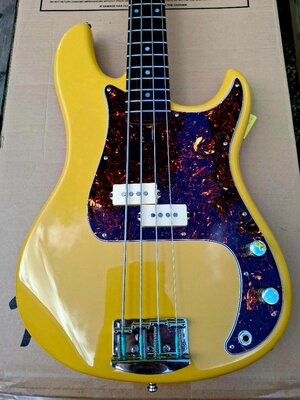 FS: Vichodyl “Bass the world” signature P-bass
