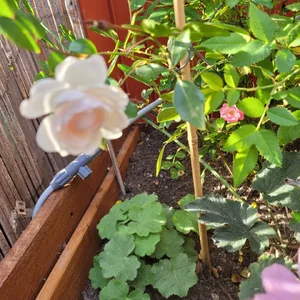 20250914_172208.webp 20250914_172208.webp