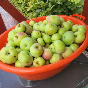 20250830_132541.webp 20250830_132541.webp