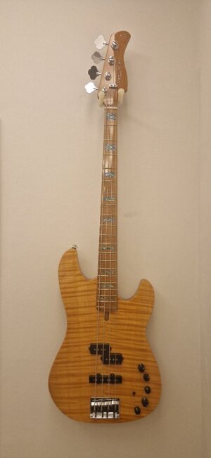 Sire Markus Miller P10