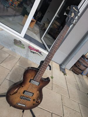 Ibanez AGBV205 Artcore 5 String
