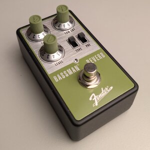 Fender Bassman Reverb