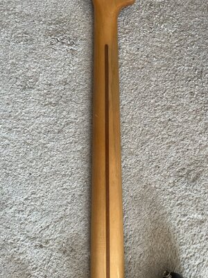 Groß (IMG_5937 2).jpeg