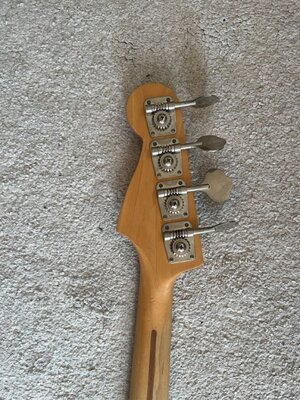 Groß (IMG_5938 2).jpeg