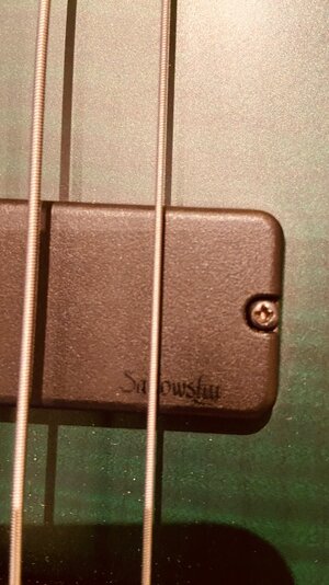 IMG_7647.jpeg