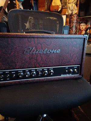 Bluetone Bass Amp