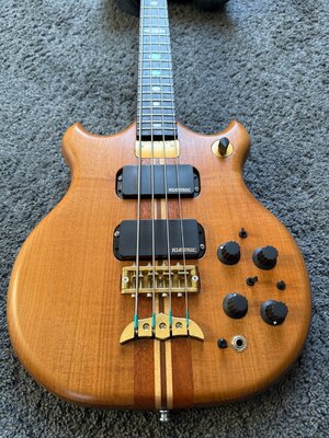 Alembic Brown Bass Shortscale