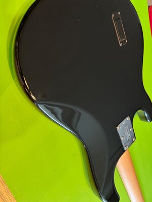 IMG_6553.jpeg