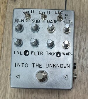 RESERVIERT Into the Unknown (guitar synth, DIY)