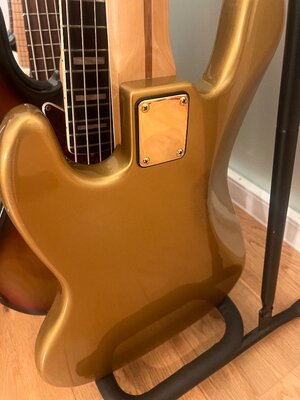 IMG_2291.jpeg