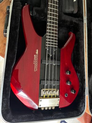 Washburn-Status Series 1000 L.E.