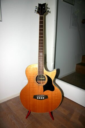 Ortega D1-4 Akustik-Bass mit Fishman Isys+