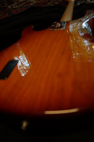 DSC07111.JPG