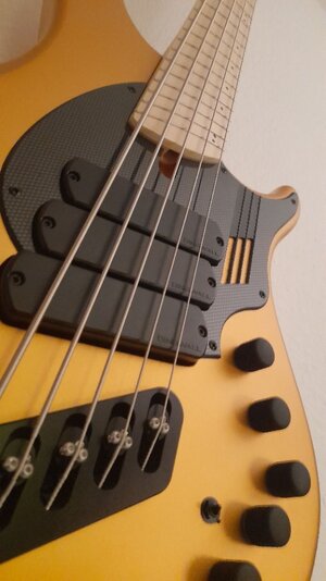 Suche Dingwall NG3 5-Saiter Nolly Getgood