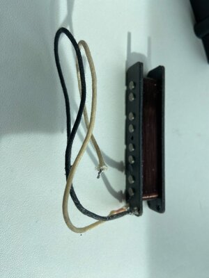 IMG_1575.jpeg