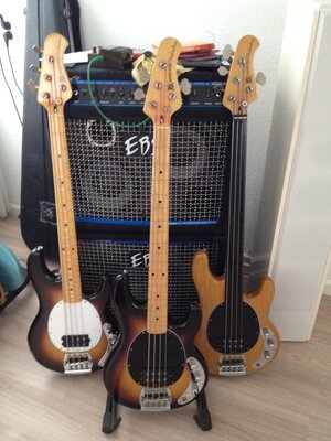 Suche: Pre-EB Musicman stingray