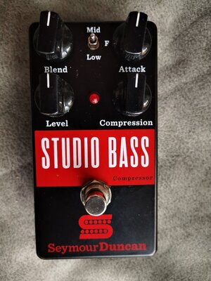 Seymour STUDIO BASS