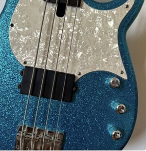 Modulus Flea Bass / Funk Unlimited gesucht